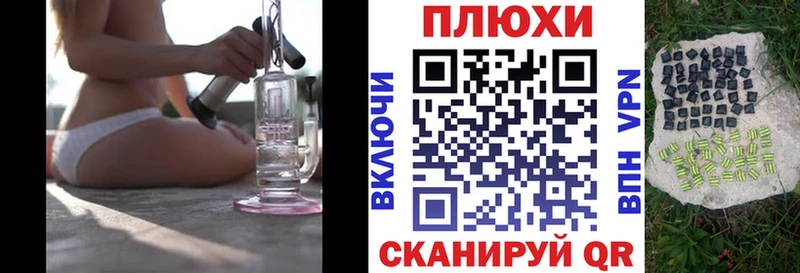 Гашиш Изолятор наркота Полярные Зори
