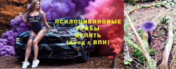 a pvp Аркадак