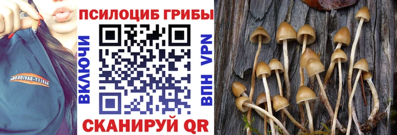 Галлюциногенные грибы Magic Shrooms  купить  цена  Полярные Зори 